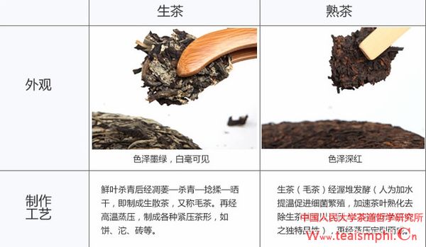 付荣群：普洱茶的知识