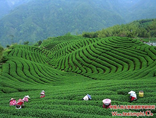 徐学：中国传统文化中的符号性