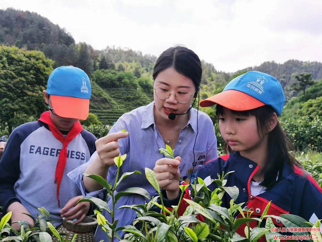 茶园里的“新茶人”叶佳雯"